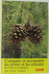 vignette